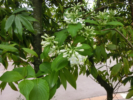 a0203003_10552427.jpg