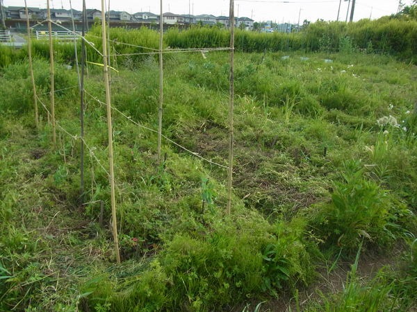 f0273304_10344115.jpg