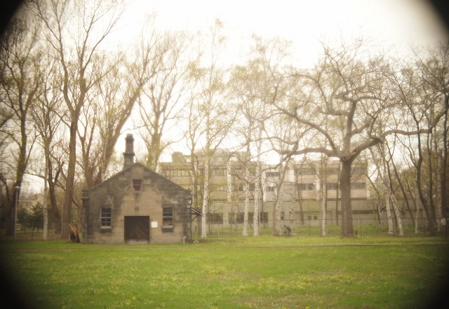 c0202705_14482813.jpg