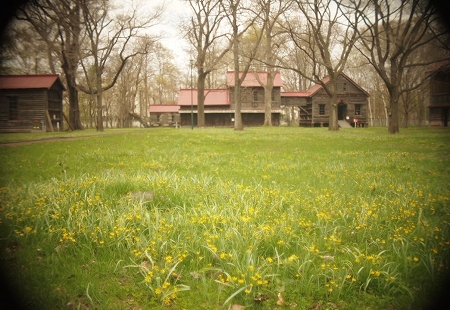c0202705_14493382.jpg