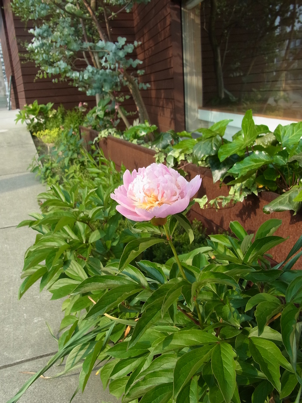 c0056707_19203368.jpg