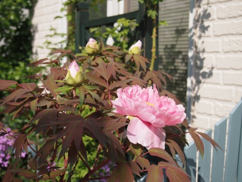 c0117007_20144261.jpg