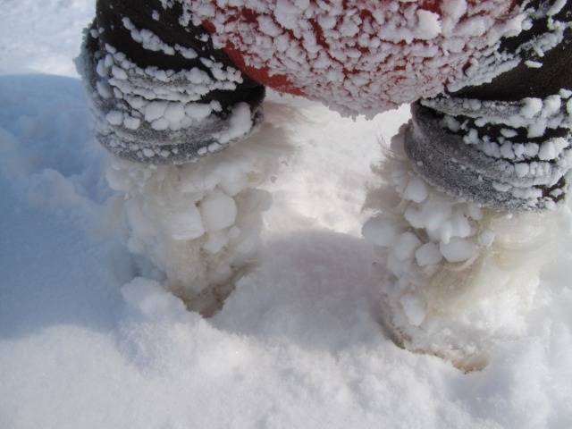 f0039907_17381863.jpg