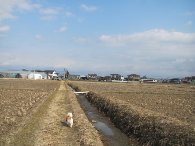 f0039907_19154825.jpg