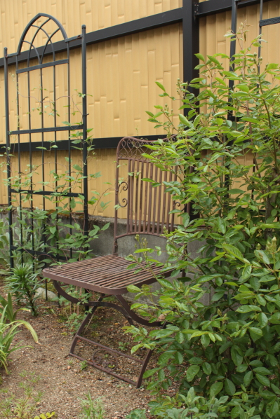 d0001008_1625668.jpg