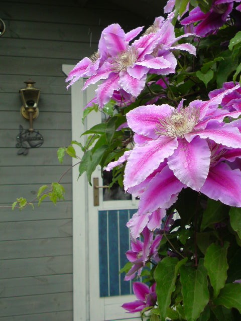 c0213619_193146100.jpg