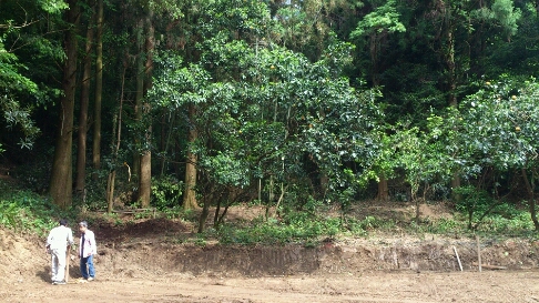 b0187620_20213380.jpg