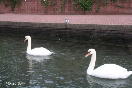 c0071221_1585091.jpg