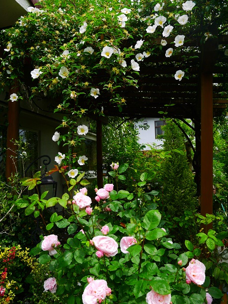 f0231829_20274895.jpg