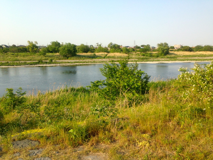 d0013834_1253668.jpg