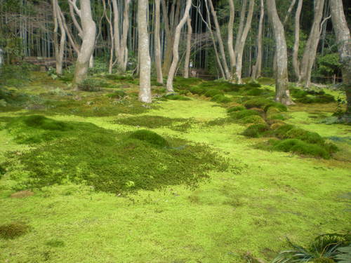 e0297347_2137157.jpg