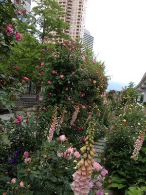 c0032863_1841581.jpg