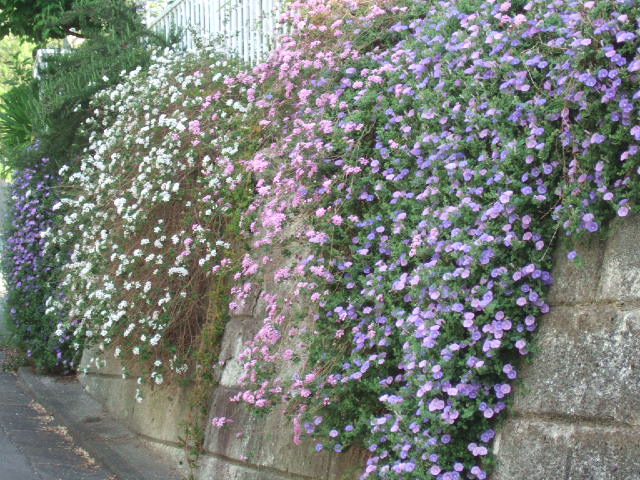 e0225164_5443325.jpg