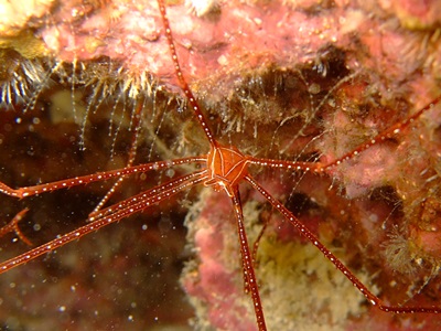 b0033573_18301064.jpg