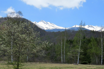 f0182173_18112865.jpg