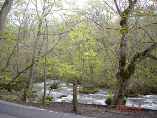 d0165378_8374277.jpg