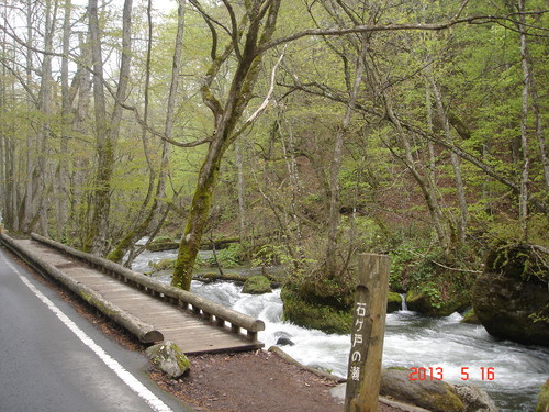 d0165378_8375627.jpg