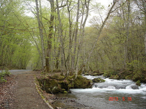 d0165378_838407.jpg
