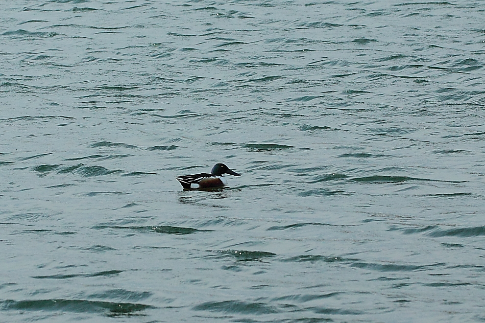 e0249878_21475085.jpg