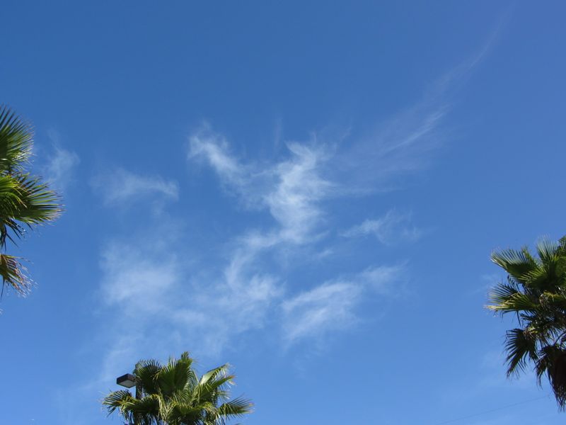 b0202185_16341697.jpg