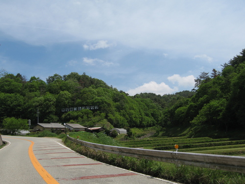 a0251786_1385219.jpg