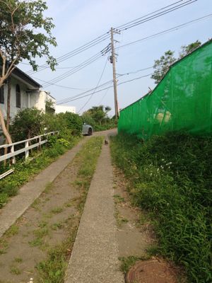 d0235288_88598.jpg