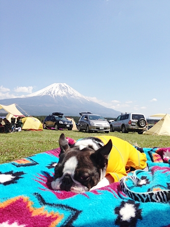 e0229992_1193321.jpg