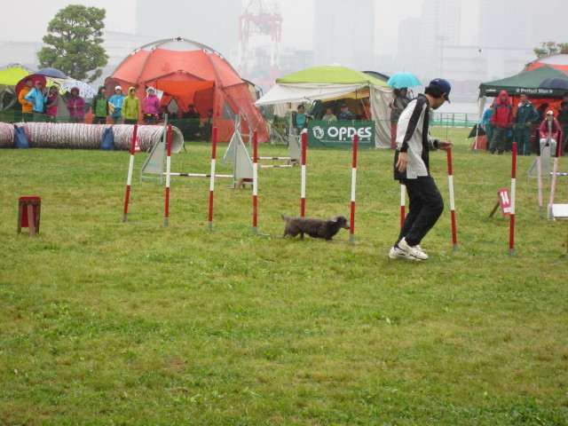 d0098295_22382635.jpg