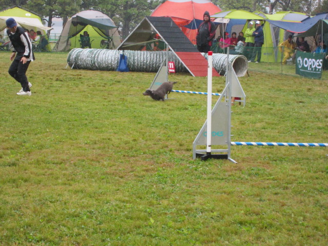 d0098295_22384195.jpg