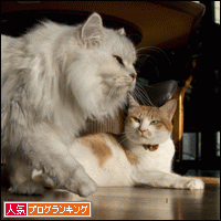 人気ブログランキングへ