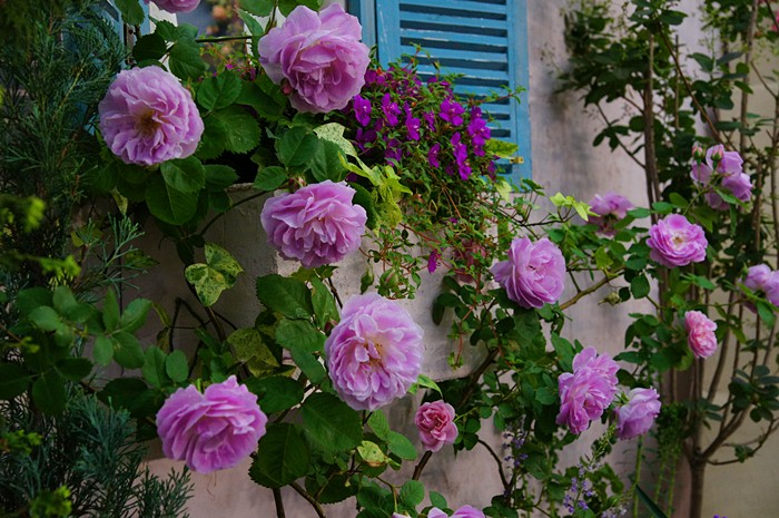 b0145398_17415779.jpg
