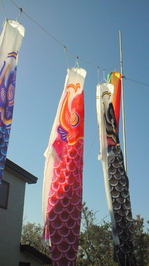 d0149105_7365914.jpg