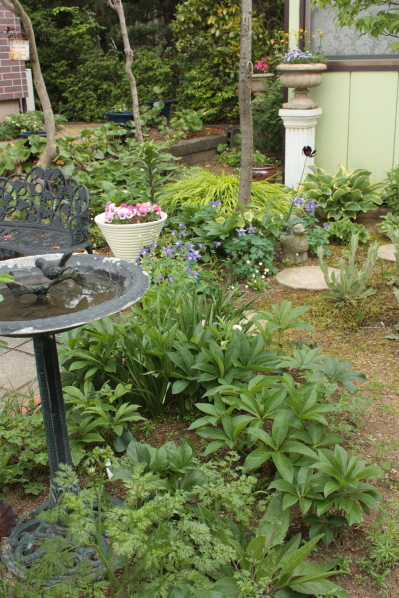 d0001008_17571688.jpg