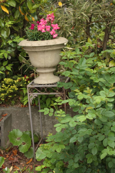 d0001008_1801571.jpg