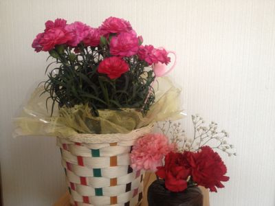 a0159009_22323328.jpg