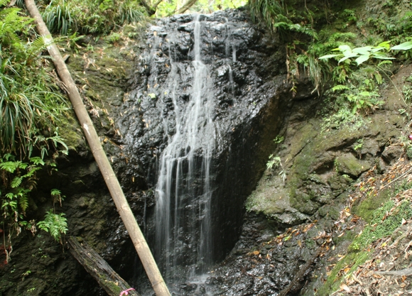 e0284019_20313735.jpg