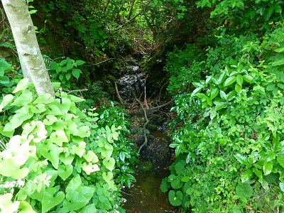 e0284019_2117887.jpg