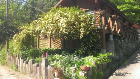 f0194321_1545189.jpg