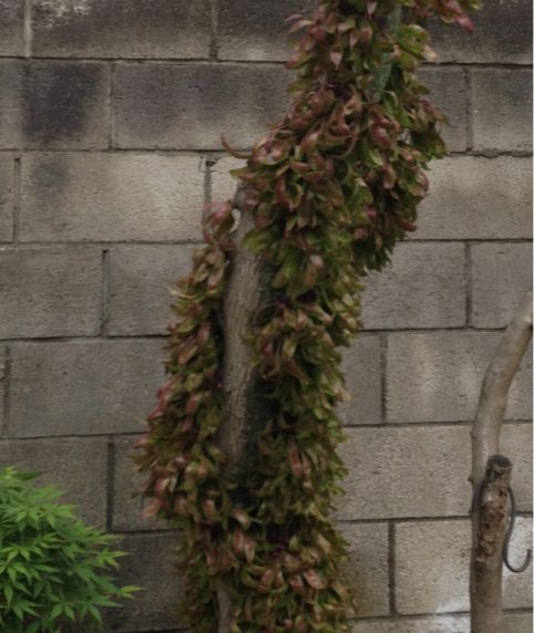 b0203925_13372151.jpg