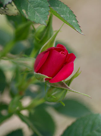 c0184125_22124152.jpg