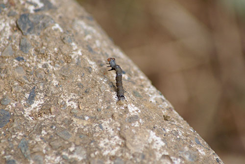 c0184125_22142249.jpg