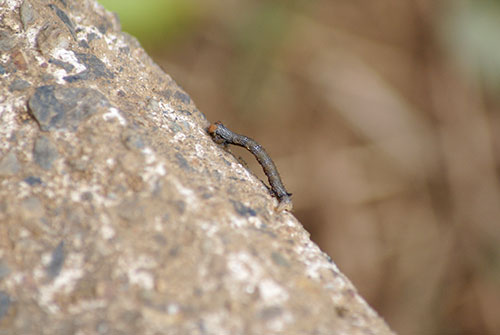 c0184125_2215278.jpg