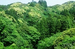 b0252727_63088.jpg