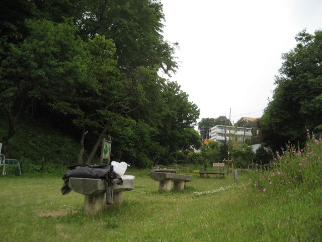 e0002927_11204339.jpg
