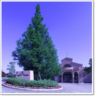e0185328_12291210.png