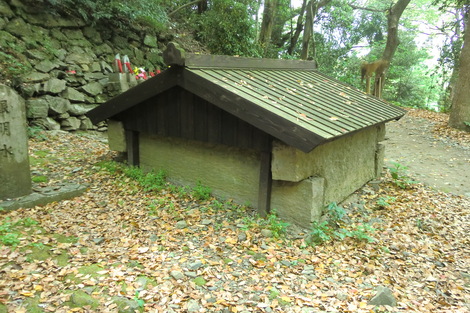 c0236632_8572426.jpg