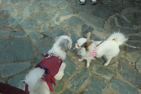 c0236632_8581458.jpg