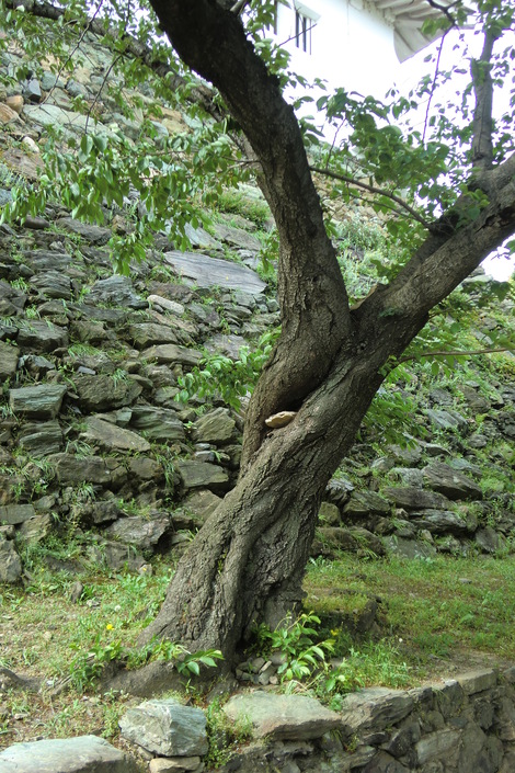 c0236632_924512.jpg