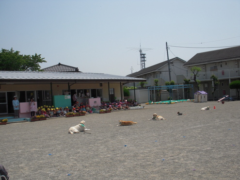 c0114833_18321281.jpg