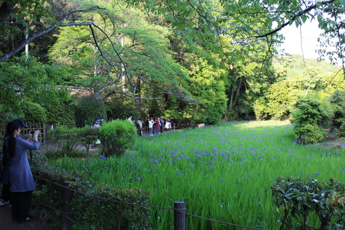 d0033734_20535191.jpg